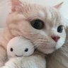 点点 profil fotoğrafı