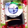 Ahmed. S. Dali🇩🇿 Ingénieur (Génie civil)'s profile picture