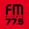 Фото профиля FM-NIIGATA