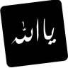 بيـــادر's profile picture