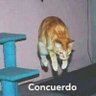 ramirox 619's profile picture