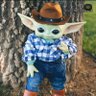 XAVIER VAZQUEZ's profile picture
