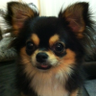 ヒトやん2's profile picture