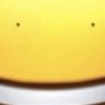 sunnnamabitch's profile picture