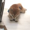 Hiro 的头像
