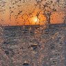 Rania profil fotoğrafı