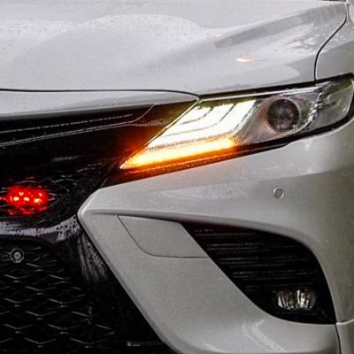 poli_mania's profile picture
