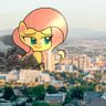 Фото профиля Giant Fluttershy