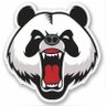 DontMessWithThePanda's profile picture