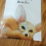 Фото профиля 🦊ミズキリフェネック🦊