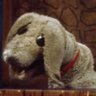 Profilbild von Finnigan Dressup