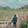 Hoàng Nguyễn ⋈ profil fotoğrafı