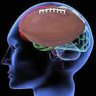 Football Brain 的头像