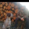 Stephen Mcaloon's profile picture