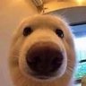 Mordex_420 的头像
