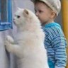 patrizia calcaterra's profile picture