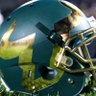 Usf_Bulls's profile picture