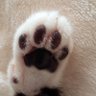田村正助e profil fotoğrafı