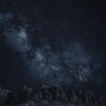 M's profile picture