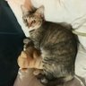 Issariya. S profil fotoğrafı