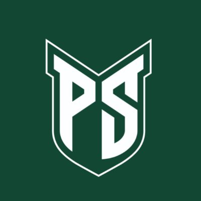 psuviks's profile picture