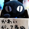 Max 的头像