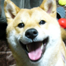 Profilbild von motoi