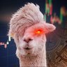 Profilbild von Stacker ⚡ Llama ∞/21M 👉 BIP-110 🇮🇪🚜💪