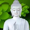 Profilbild von राजनीतिक विश्लेषक