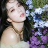 新垣结衣赛高's profile picture