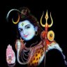 Profilbild von M S Thakur
