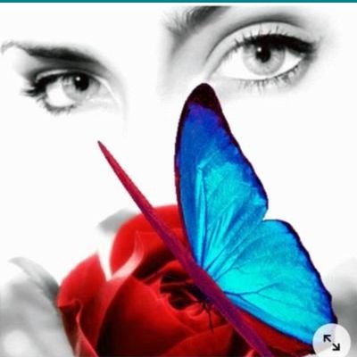 delidirdeli53's profile picture