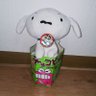 Profilbild von タマ