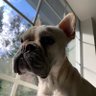 Profilbild von Winston