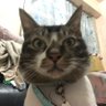 Ben00268 的头像