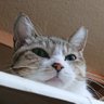 KZ MT profil fotoğrafı