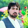 Qazizada Qazi 的头像