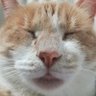 Profilbild von Double_M