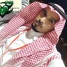 Profilbild von Mohammed bin Ali