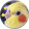 Profilbild von プチトマ