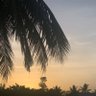 சங்கவி's profile picture