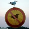 Some Random Guy's profile picture