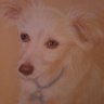 Profilbild von Monsieur Chopin