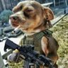 The County Sheriff ๐ฅณ๐ฅณ's profile picture