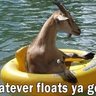 Float Goat profil fotoğrafı