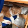 千隼 profil fotoğrafı