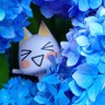 Фото профиля 栗栖(くりす)@トロと写真