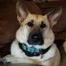 ๐๐ ๐โ๏ธ Country Girl โคs Jesus๐โ๏ธ๐๐'s profile picture