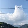 小橙砸 profil fotoğrafı