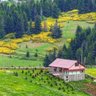 Фото профиля Tuncay Kocaman